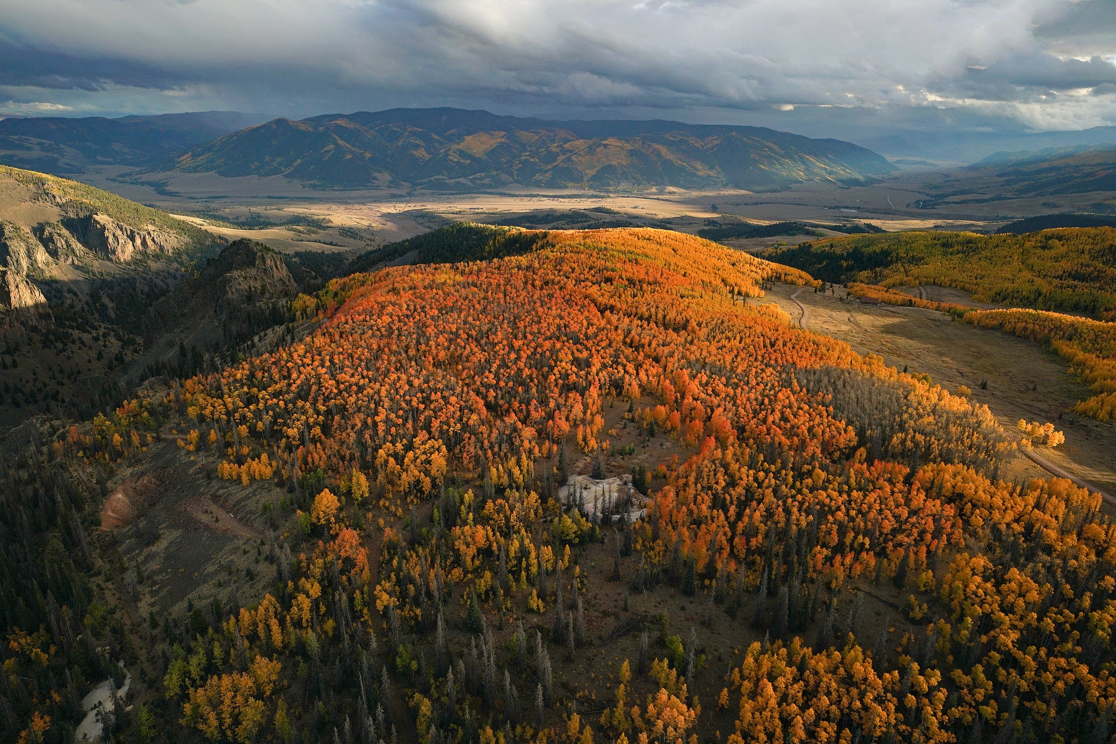 Creede Aspens